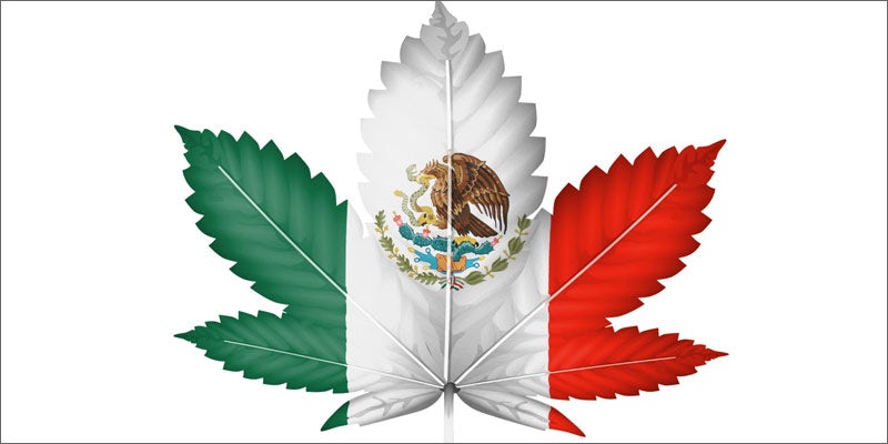 15 world march mexico Mexico Just Legalized Medical Marijuana: But Theres A Catch