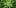 2 29 11 Best Clear Headed Sativa Strains To Help You Concentrate