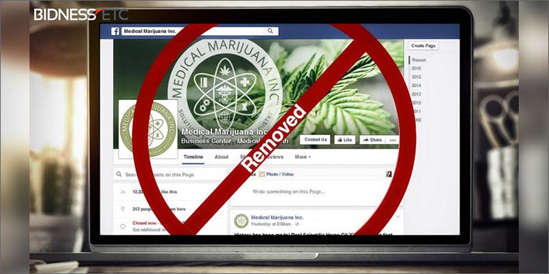 5 1 Understanding Facebook’s Cryptic Restrictions on Cannabis Posts