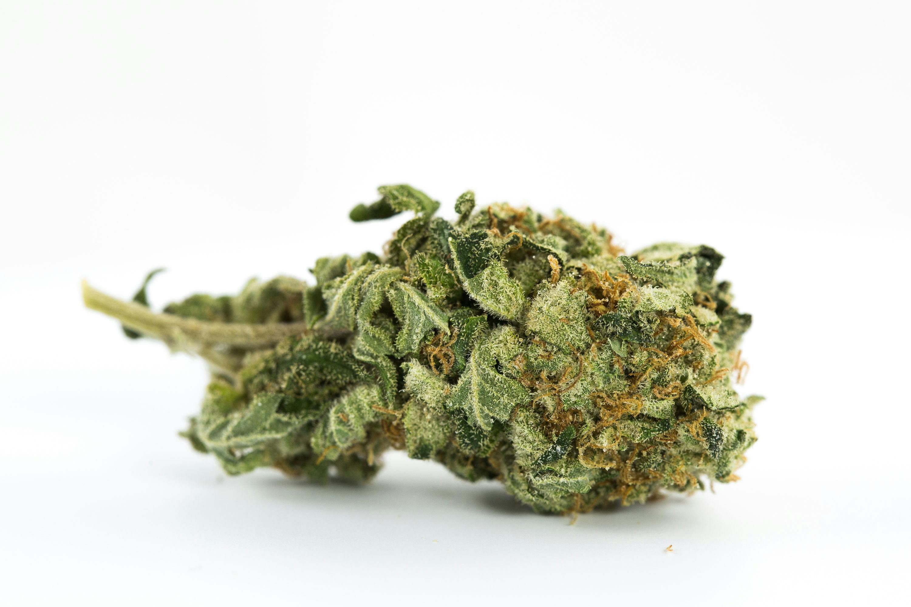 9Best Star Wars Strains To Take You To A Galaxy Far Far Away Star Wars Weed Strains: 14 Top Options