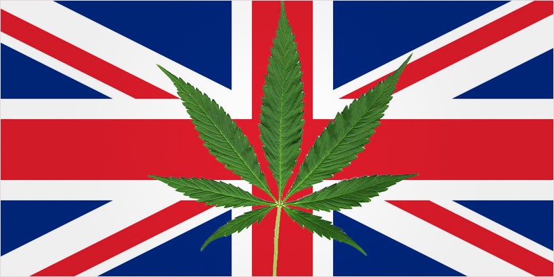 First UK Clinical Trials 4 First UK Clinical Trials On Cannabis For Chronic Pain
