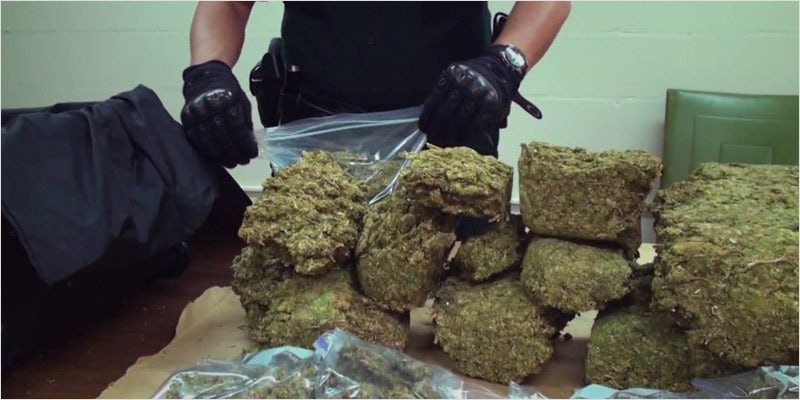 From Busting Growers To Selling 2 Son Of Ex Undercover Narcotics Detective Just Opened A Dispensary