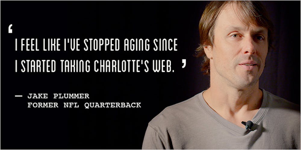 Jake Plummer wants to live forever - The Athletic