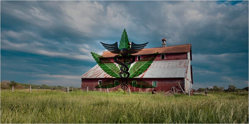 Nebraska Medical Cannabis