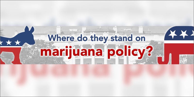 bernie legalizing pot mj policy graphic Bernies Badass Response About Legalizing Cannabis
