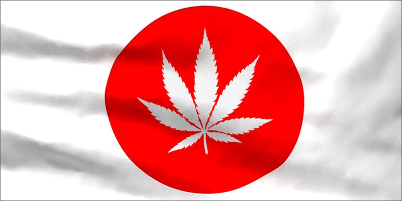 Prehistoric Cannabis Seeds Have Been Discovered In Japan