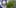 jerusalem cannabis study flag plant New Cannabis Toothpaste Has People Losing Their Minds