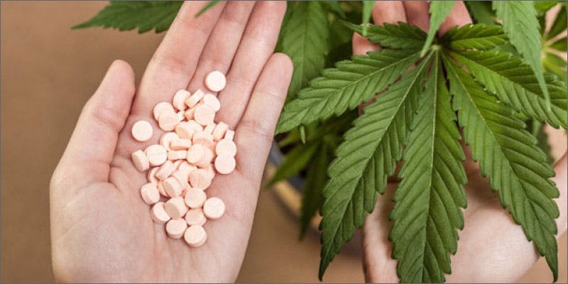 jerusalem cannabis study pills plant Not So Shocking Results From Medical Cannabis Side Effects Study