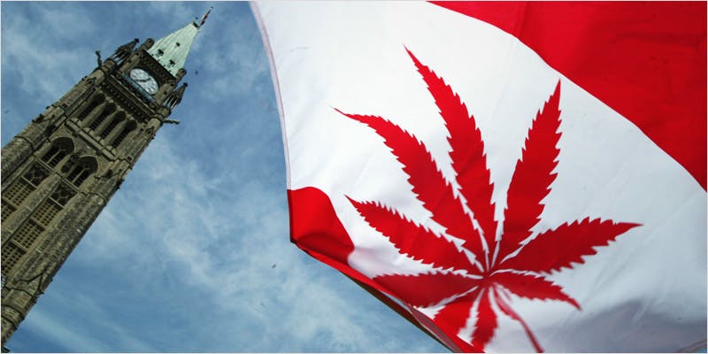 let doctors decide 3 Is Canada About To Cap Medical Marijuana For Vets?