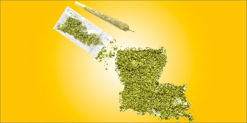 Louisiana Medical Marijuana Bill Clears First Hurdle Herb   Louisiana 