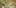 4 most insane ways to smoke cannabis face Getting Weed In Jamaica Is Now Easy As Renting A Car