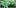 All In The Mind 2 1 All In The Mind #2: Does Cannabis Help OCD?