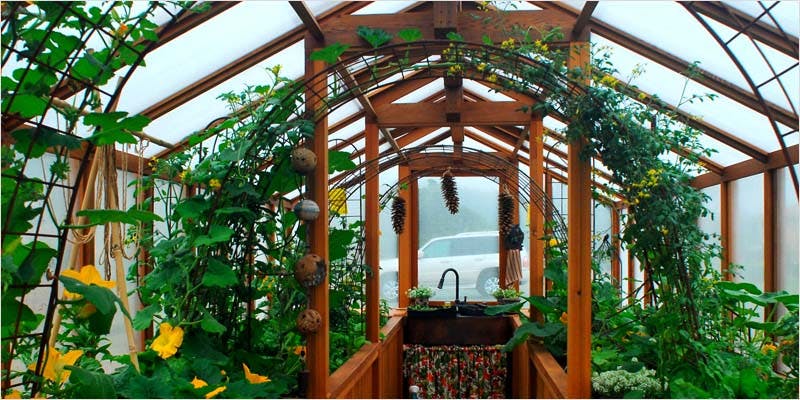 Greenhouse Grows are Awesome 10 Best Of Both Worlds: All You Need To Know About Greenhouse Grows