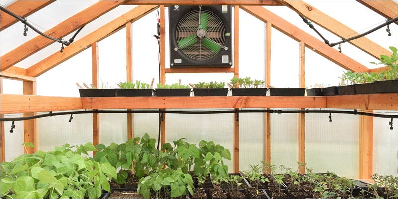 Greenhouse Grows are Awesome 13 Best Of Both Worlds: All You Need To Know About Greenhouse Grows