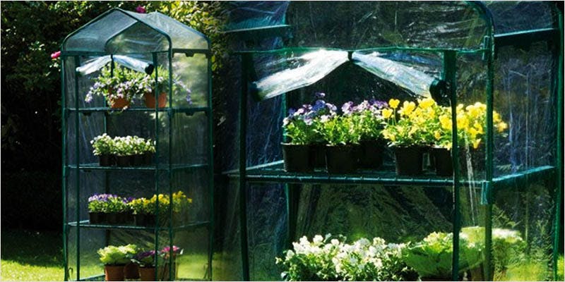 Greenhouse Grows are Awesome 9 Best Of Both Worlds: All You Need To Know About Greenhouse Grows