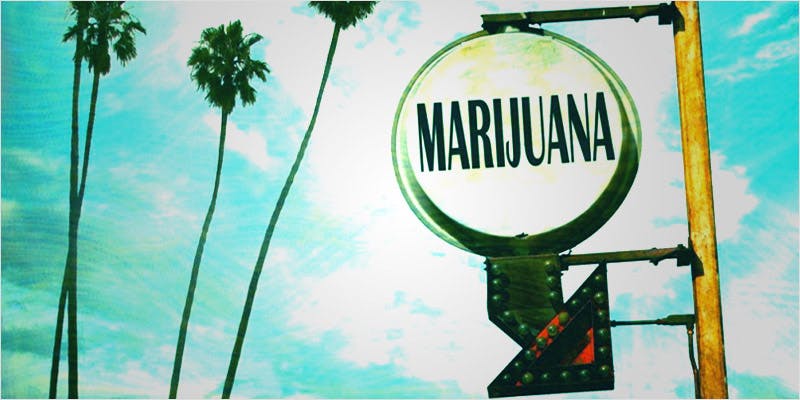 High Times So Cal Cup hero Cannabis Cup: Come For The Herb, Stay For The Music