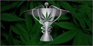 Thanks To The Michigan Medical Cannabis Cup Winners, We All Win!