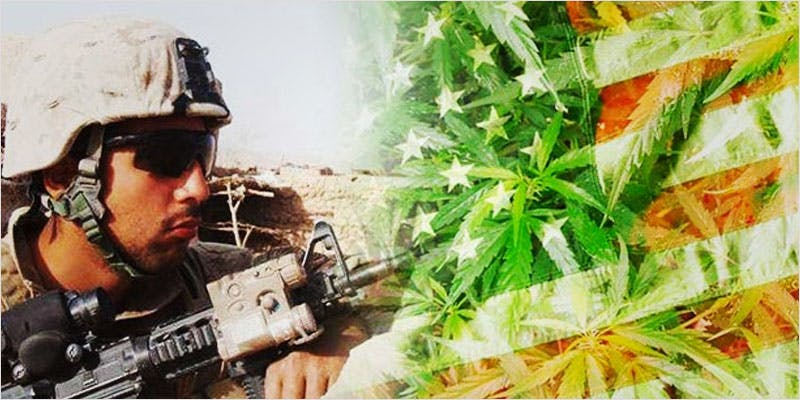 Victory for vets 2 Everyones Talking About Veganic Weed (And Why It Will Save The World)