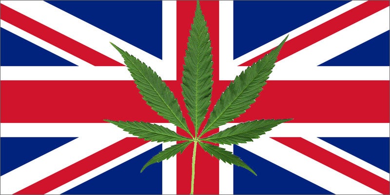 cannabis arrests england flag Everyones Talking About Veganic Weed (And Why It Will Save The World)