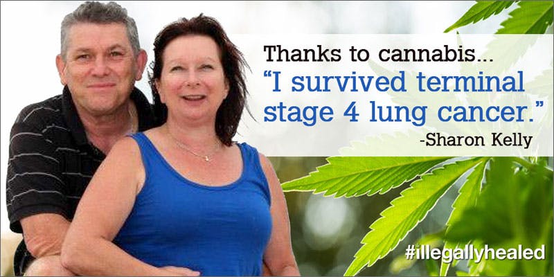 cannabis cures terminal stage iv lung cancer testimonial Miracle Cannabis Saved Her From Terminal Stage IV Lung Cancer