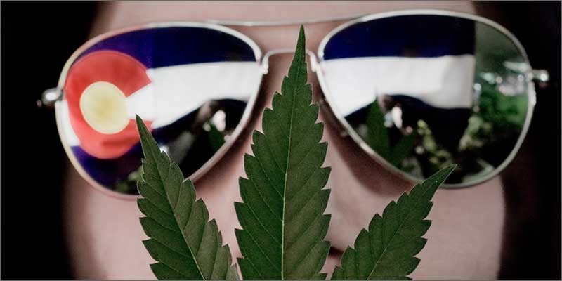 colorado record mj sales glasses Everyones Talking About Veganic Weed (And Why It Will Save The World)