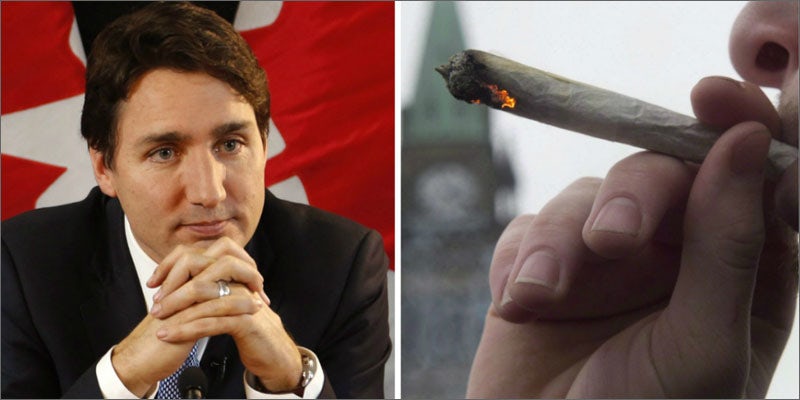 justin trudeau cannabis legalization argument Did Justin Trudeau Just Win the Argument for Legal Cannabis?