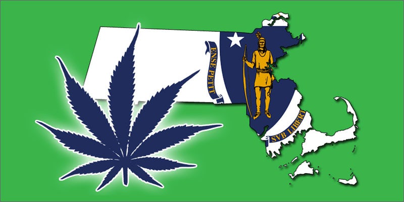 ma court challenge cannabis ballot hero Colorado: Recreational Weed Shops are Going to Edge Out Medical