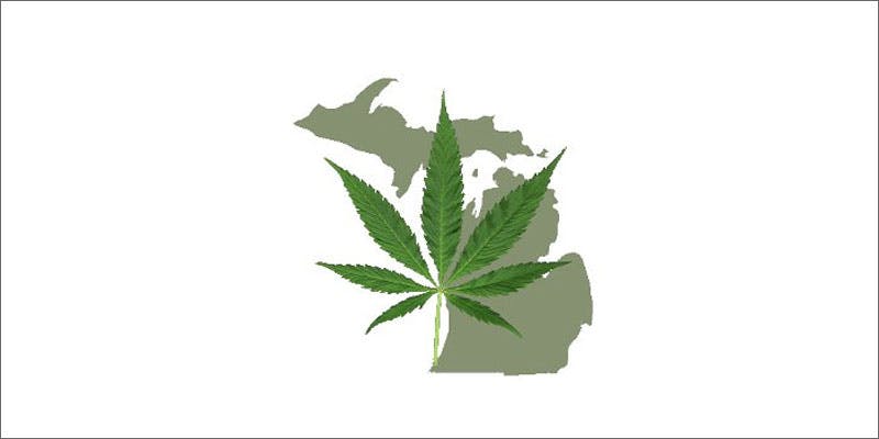 michigan petition signatures state leaf Will States Petition Secure The November Ballots?