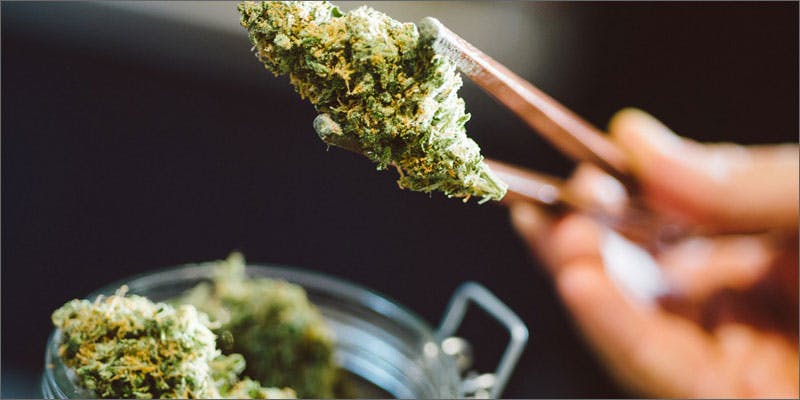 mid strength cannabis chopstick bud Why Is There No Mid Strength Cannabis?