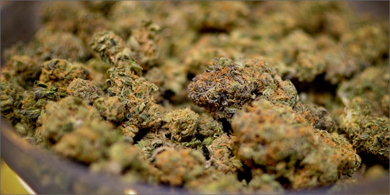 Mid-Strength Cannabis