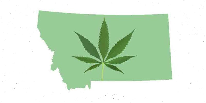 montana cannabis ballot leaf state 1 North Dakota Approves Medical Cannabis Initiative