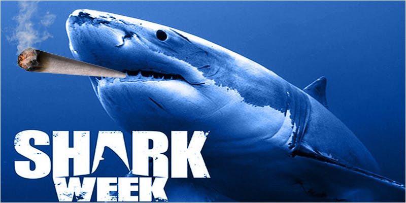 shark week