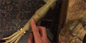 Spliffigami: How To Roll A Squid Joint