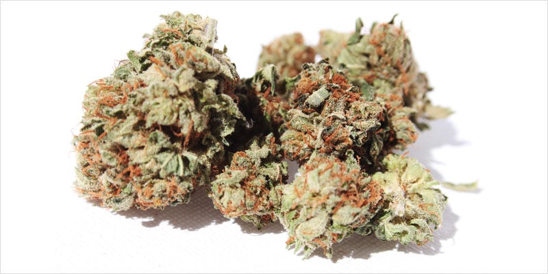 10 Legendary Canadian 7 10 Canadian Themed Strains That Celebrate The True North