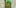 10 cannabis strains named after celebrities chong THC: Everything You Need To Know About Delta9 Tetrahydrocannabinol