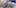 13 blueberry strains 2 THC: Everything You Need To Know About Delta9 Tetrahydrocannabinol