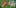 2 derreck morgan researched cannabis nfl field This Is How Long Nate Diaz Could Be Banned For Vaping