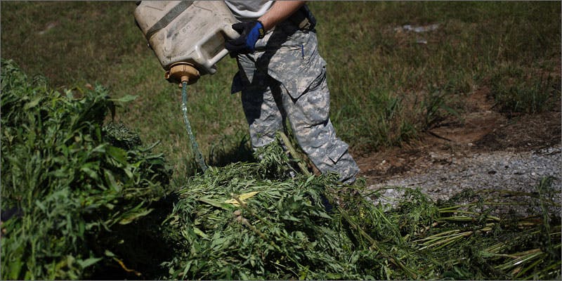 3 cops burn weed crops gasoline Heartbreaking Photos of Cops Burning Off Illegal Weed