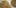 5 Hangover Busting 5 5 Hangover Destroying Weed Strains That Will Set You Straight