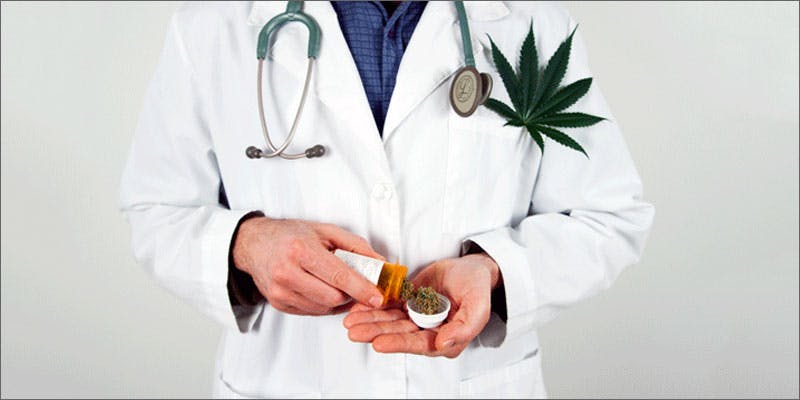 6 top 10 cannabis google searches doctor Heres The Answers To The 10 Most Googled Weed Questions