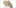 7 cannabis strains named after celebrities snoop dogg THC: Everything You Need To Know About Delta9 Tetrahydrocannabinol