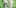 8 glamorous cannabis accessories for girls wakeandbake mug This Is How Long Nate Diaz Could Be Banned For Vaping