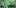 Decarboxylation Why You Should 2 Decarboxylation: What It Is, & Why You Should Decarb Your Weed
