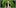 Five celebrities who got caught smoking 5 THC: Everything You Need To Know About Delta9 Tetrahydrocannabinol