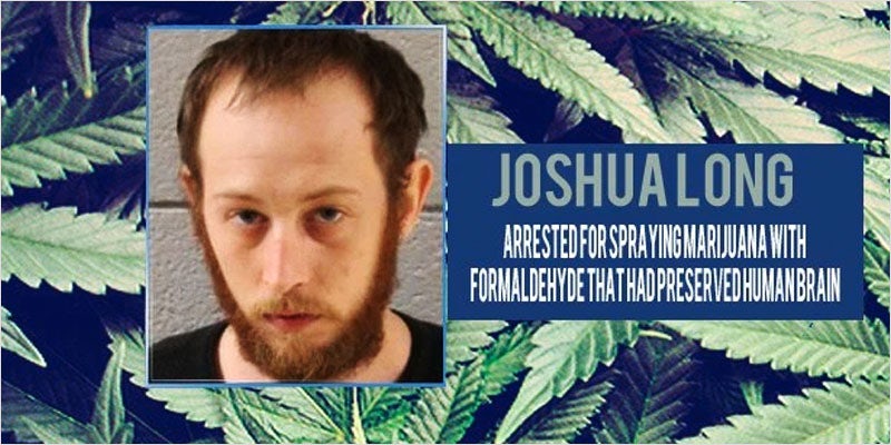 Formaldehyde Soaked Brain 1 WTF: This Guy Sprayed Weed With Stolen Brain Embalming Juice