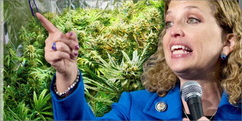 Peace Out Debbie Wasserman2 This Week In Cannabis & Politics: Peace Out, Debbie Wasserman Shultz