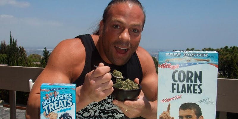 Pro wrestling and medical 5 WWE Stars Demand The Right To Use Medical Cannabis