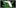 This Week In Cannabis Politics 4 THC: Everything You Need To Know About Delta9 Tetrahydrocannabinol