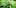 cannabis and parkinsons bud plant Does Cannabis Help Parkinsons Disease?