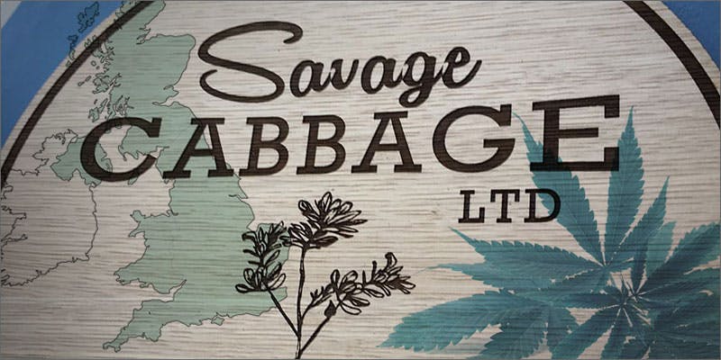 savage cabbage